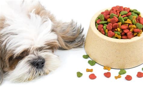 The Magic Ingredient: Uncovering the Hidden Powers of Food Dust for Dogs